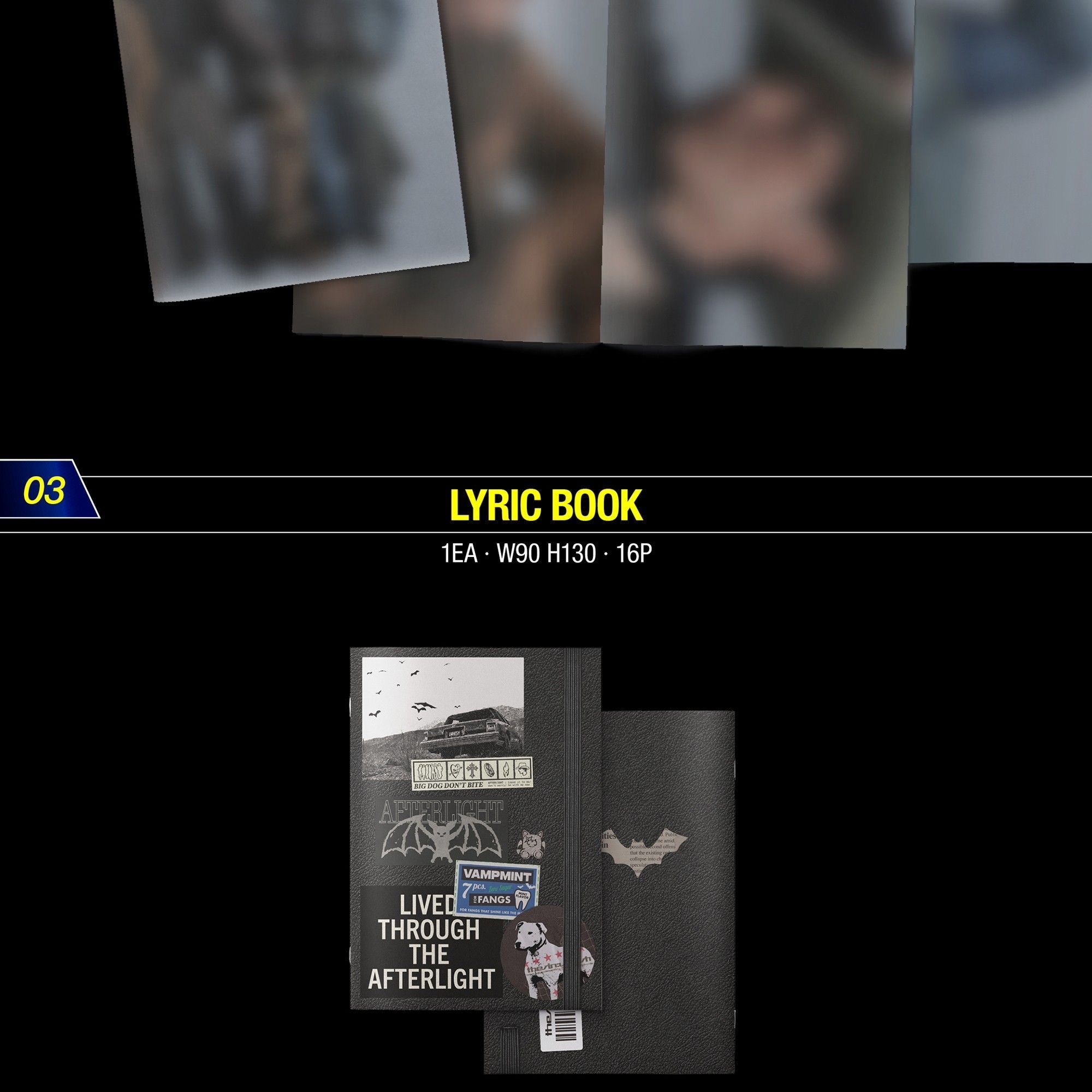 ENHYPEN (엔하이픈) THE SIN : VANISH [FORBIDDEN Ver. / AFTERLIGHT Ver. / STORM Ver.] album — detail 14 of 21