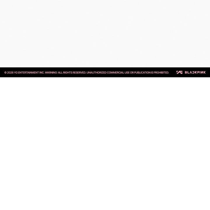 BLACKPINK - BPCOLLECTION [CHARACTER LIGHTSTICK STRAP] merchandise — detail 8 of 10