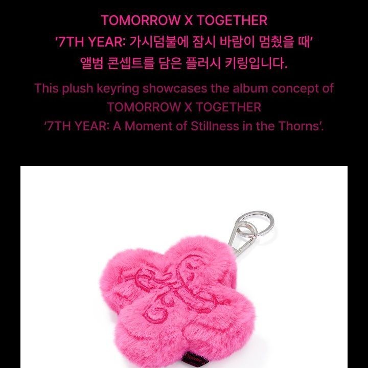 TOMORROW X TOGETHER - '7TH YEAR: A MOMENT OF STILLNESS IN THE THORNS' OFFICIAL MD [PLUSH KEYRING] — detail 4 of 14