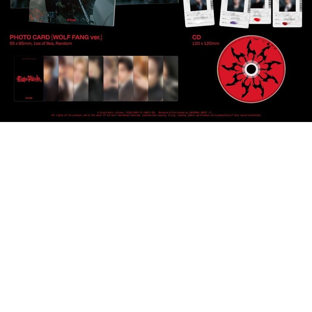 &TEAM - 3rd Single 'Go in Blind' (STANDARD EDITION ver.) album — detail 2 of 2